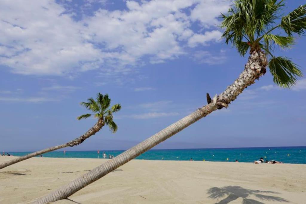 A 500 M De La Plage, Tout Confort Avec Wifi Ле-Баркарес Екстер'єр фото